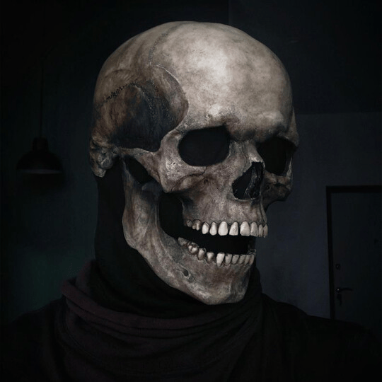 Full Skull Mask 💀