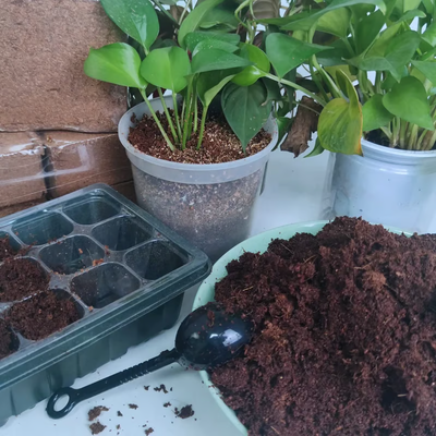 🔥 LAST DAY 49% OFF 🌱 Premium Organic Coconut Coir Bricks For Plants